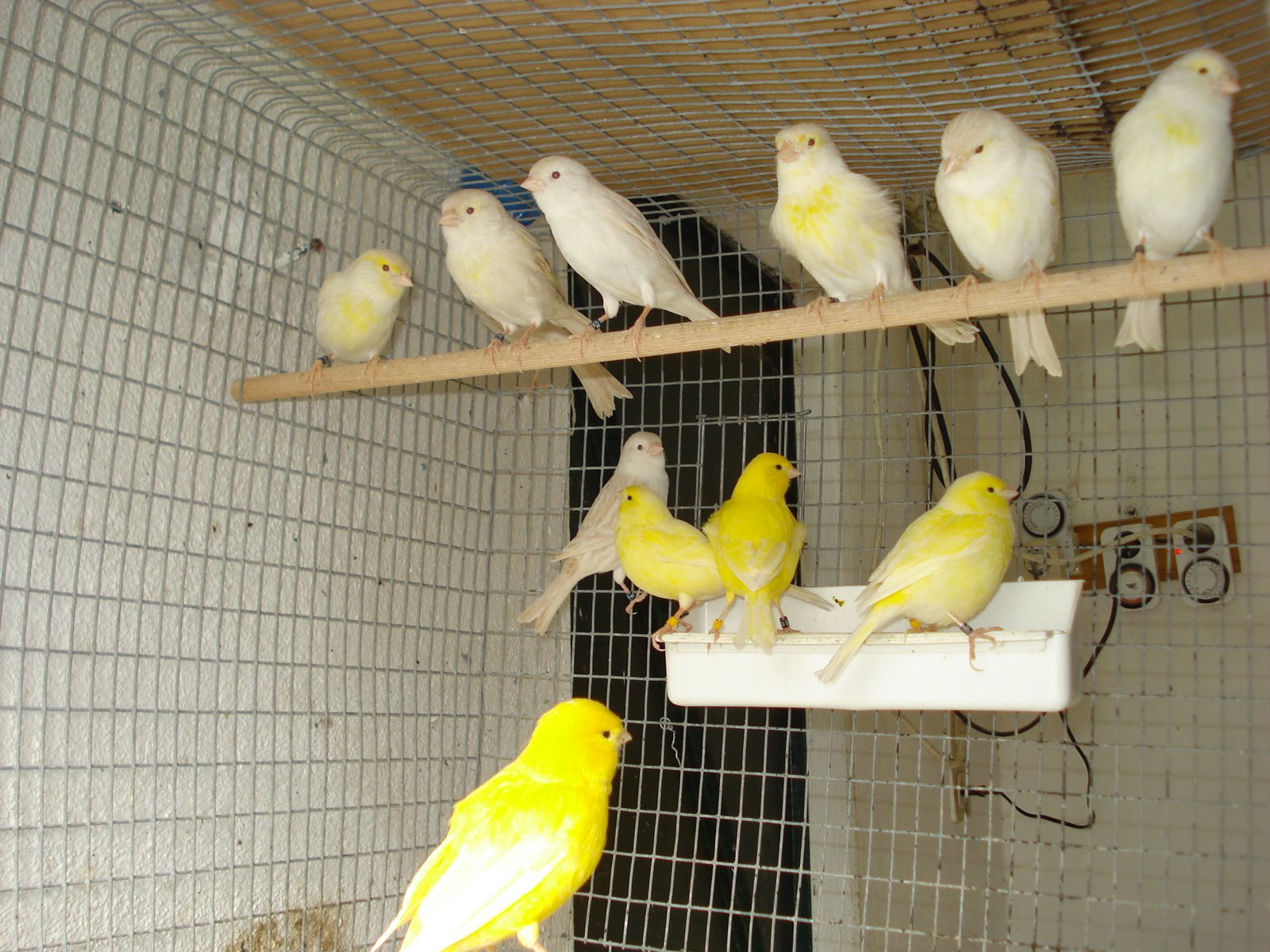 [DSC01645.JPG]