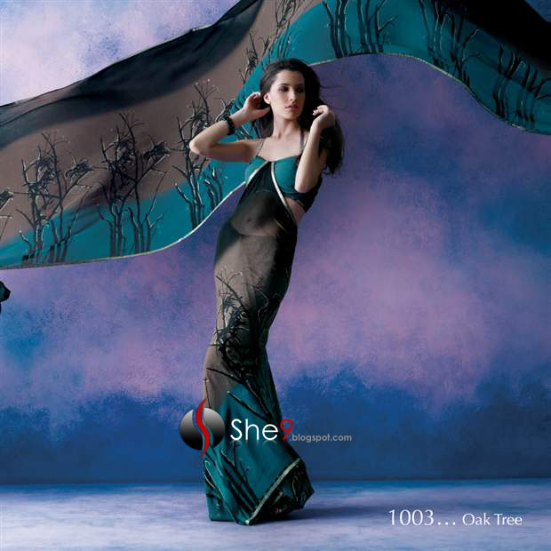 Latest Saree Colours