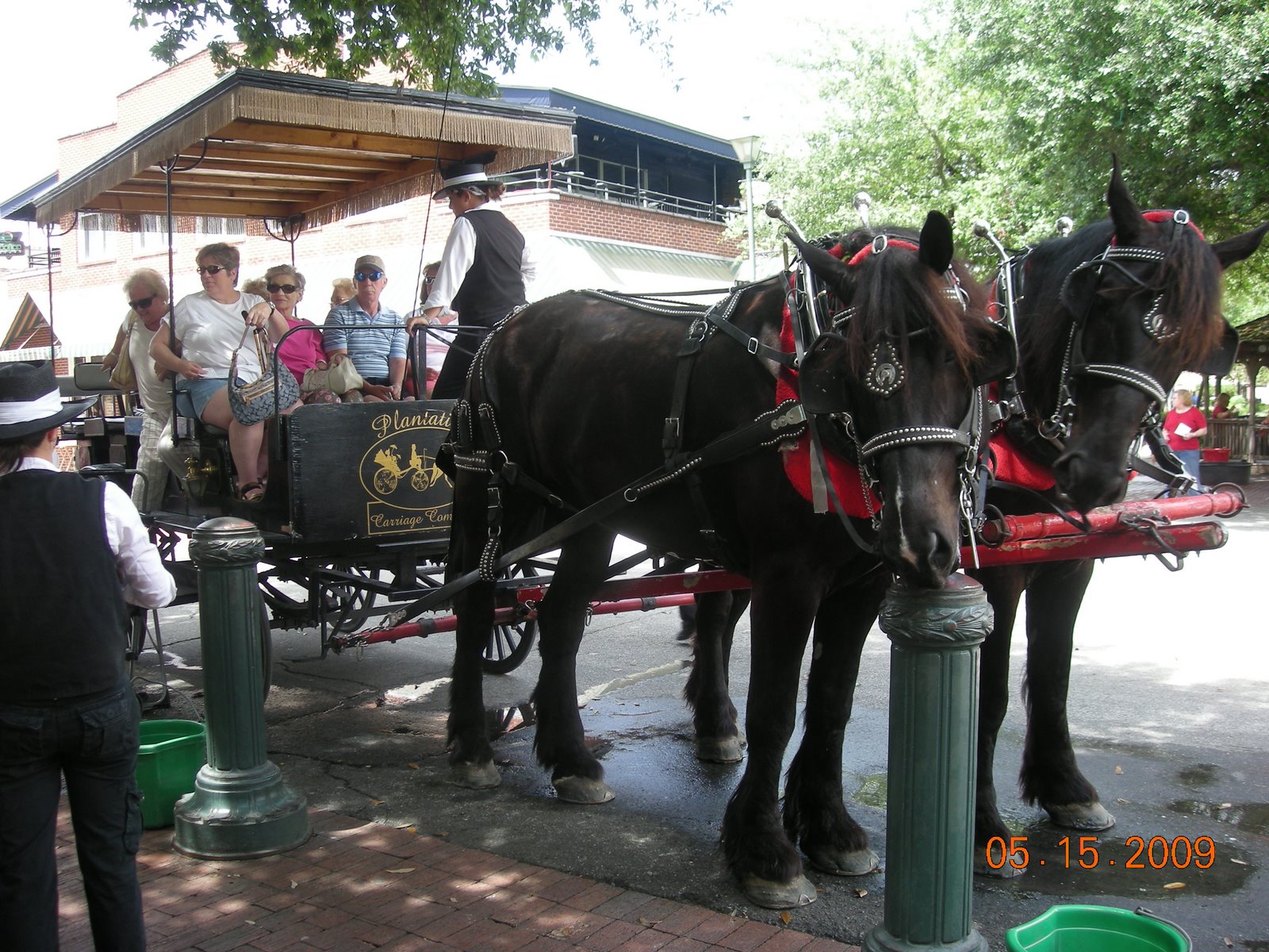 [DSCN2010.JPG]