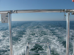 Looking over the stern, the view is water only--actually looking over any side of the boat, the sam