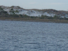 Santa Rosa island.  Is it sand or snow?  Feels as if it could be the latter!