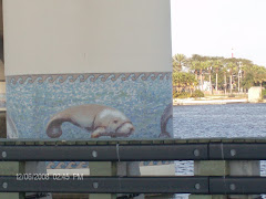 A lot of bridges--and some of them were well decorated.   this one reinforced the manatee zone.