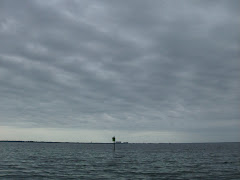 A most ominous sky, and the storm following it was spectacular!