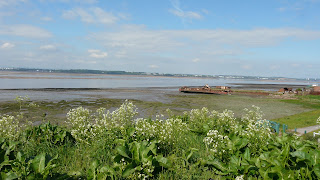 Speke/Garston Coastal Reserve (north-end looking towards Garston Docks)