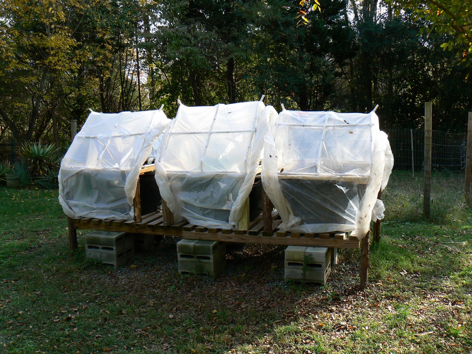 Snow Camp Aquaponics Minigreenhouses or coldframes not sure what to