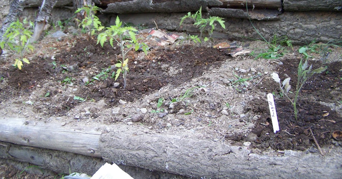 A Handmade Life To Mulch or Not to Mulch?