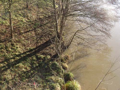 [Forêt+006.JPG]