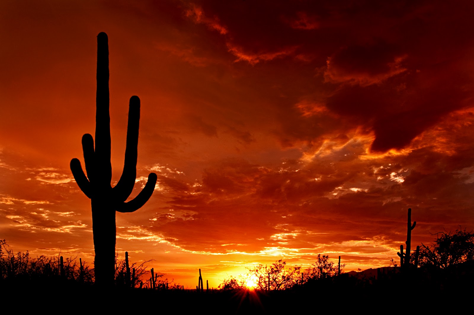 Az Highways