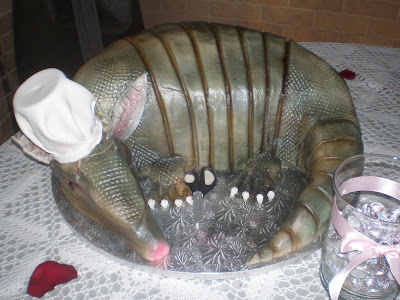 Armadillo Cake Pictures