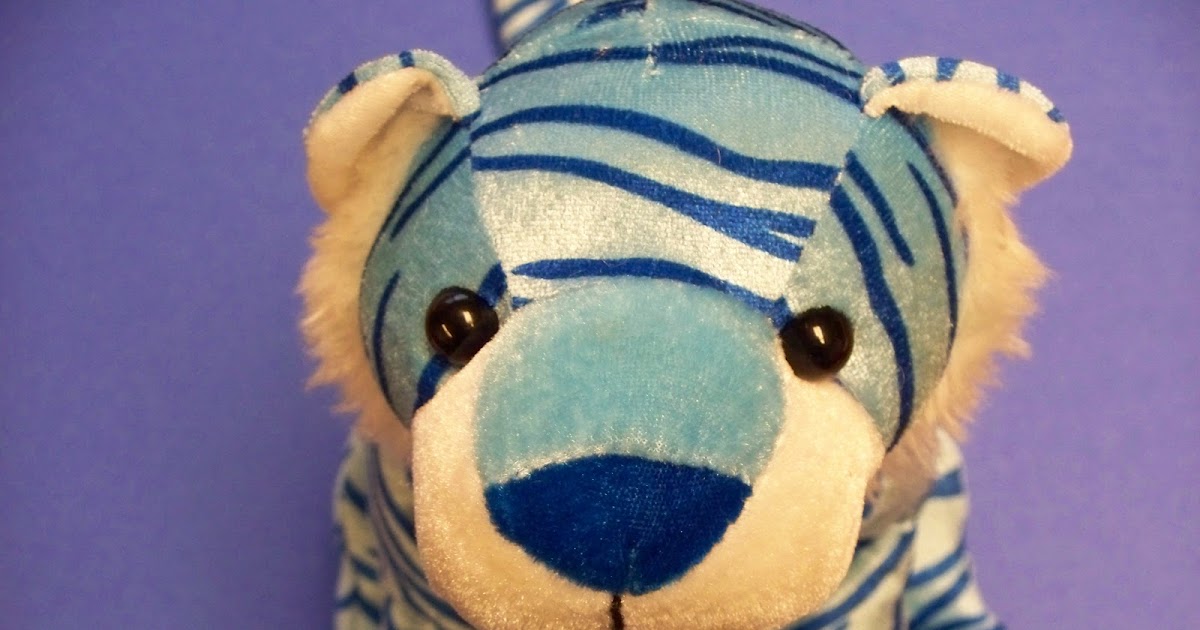 S.U.F.R. Comprehension Kool Kat