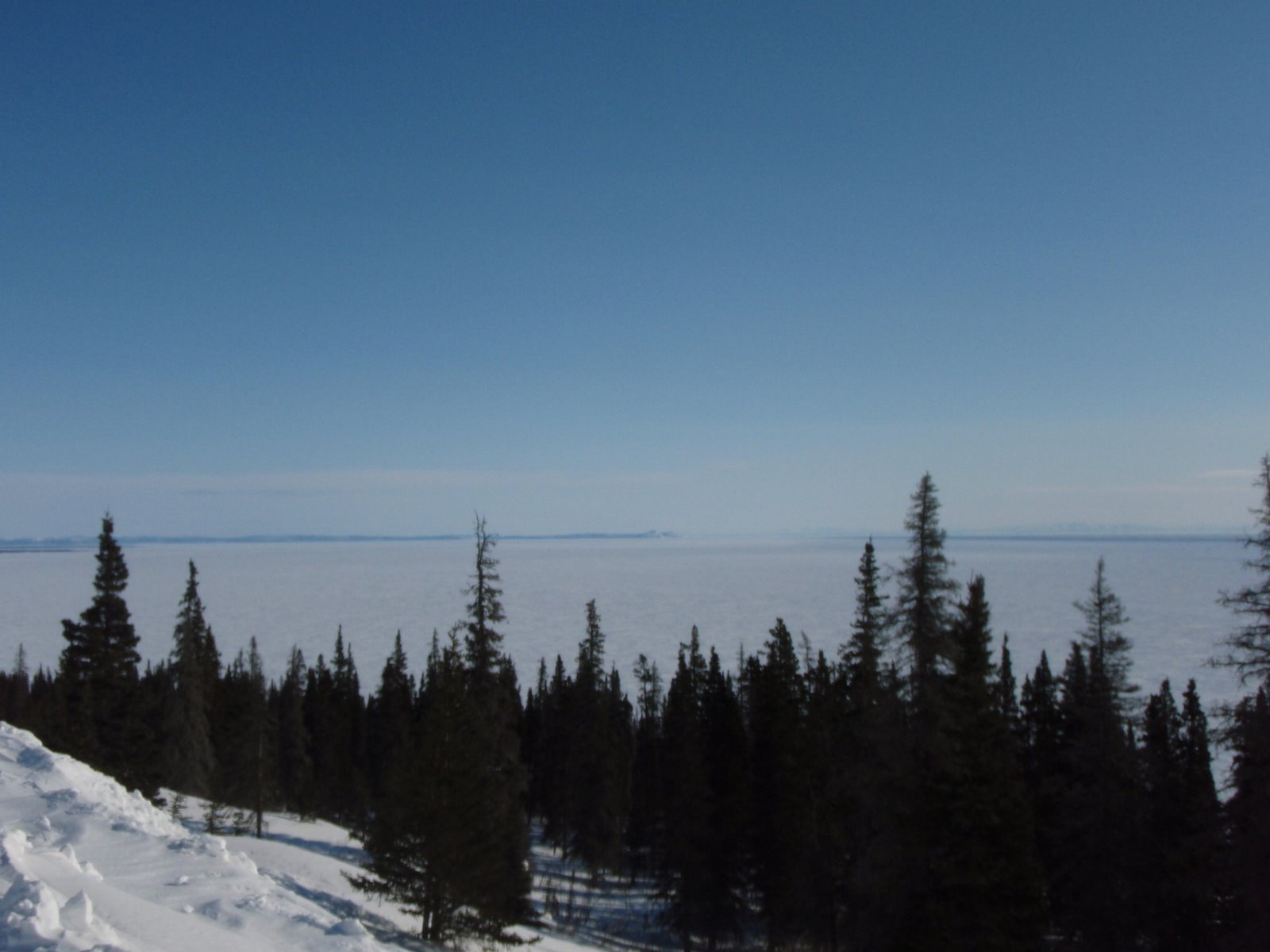 [P3231289.JPG]