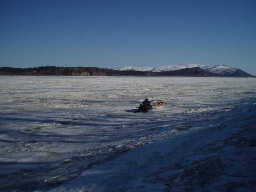 [P3141215b.jpg]