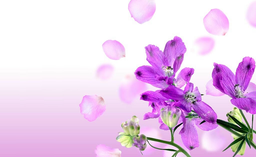 Violet Flower Wallpaper - 4PC Wallpaper