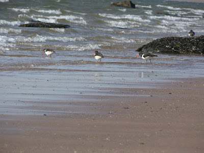 Cottages In Scotland. Cottages by the sea Scotland,