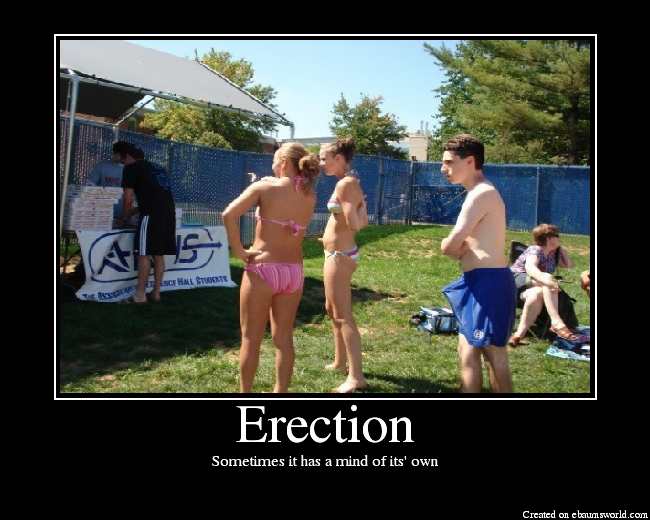 [ereccion.png]