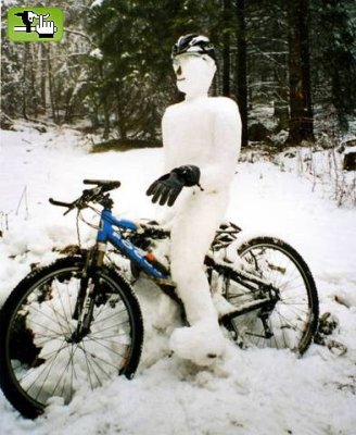 [congelado_en_bici.jpeg]