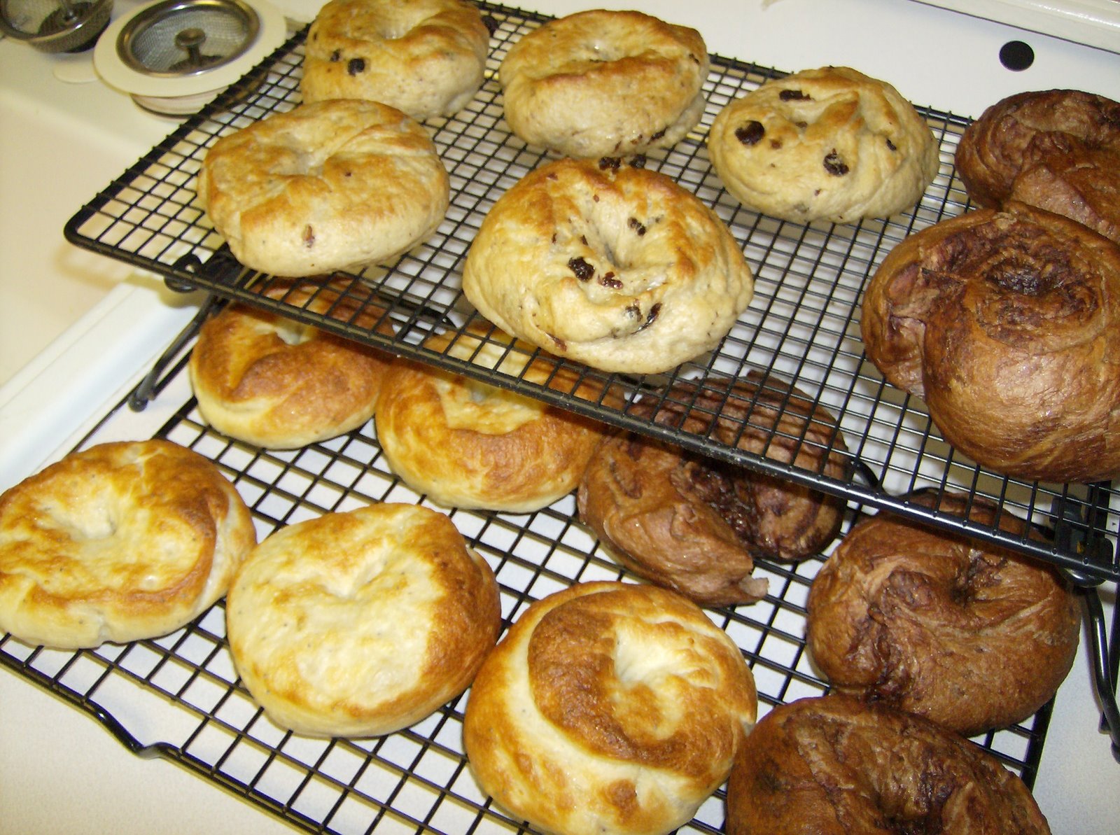 [Bagel]
