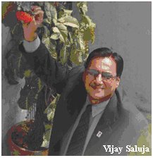[VijayKSaluja2.jpg]