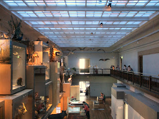 Great North Museum Great North Museum