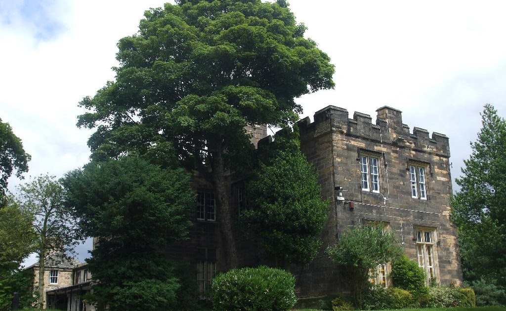 Photographs Of Newcastle Benwell Towers (The Mitre)