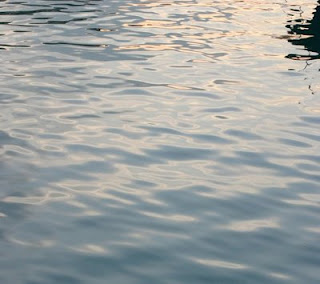 sunlit water