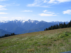 Hurricane Ridge