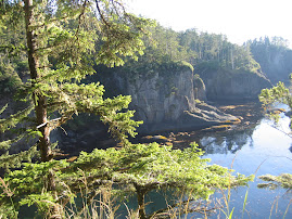 Cape Flattery