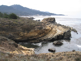 Point Lobos--near Carmel by the Sea