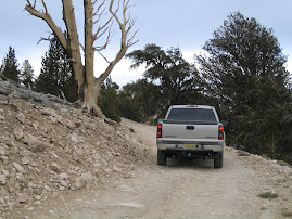 road to bristlecones
