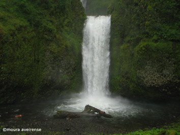 [multnomah-falls5_jun08.JPG]