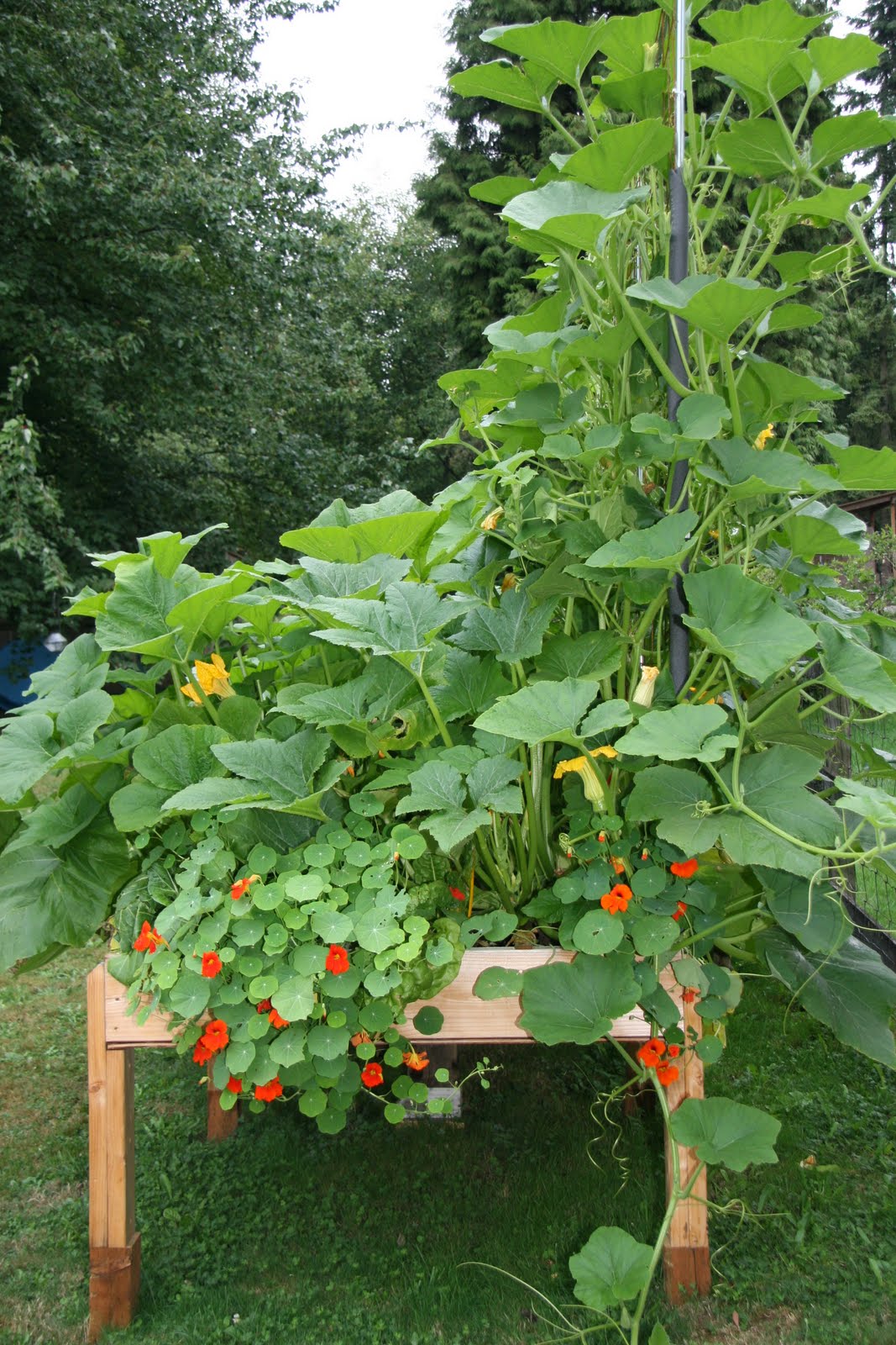 Gourmet Gardening Gals: April 2010