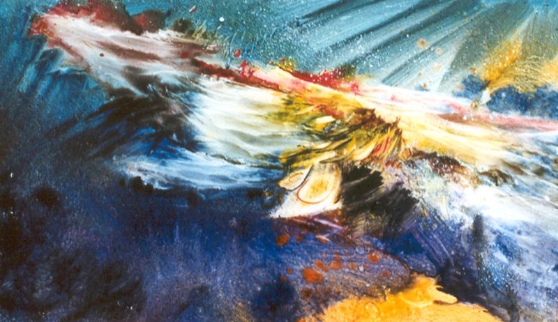 Une curiosité de qualité Yahne Le Toumelin