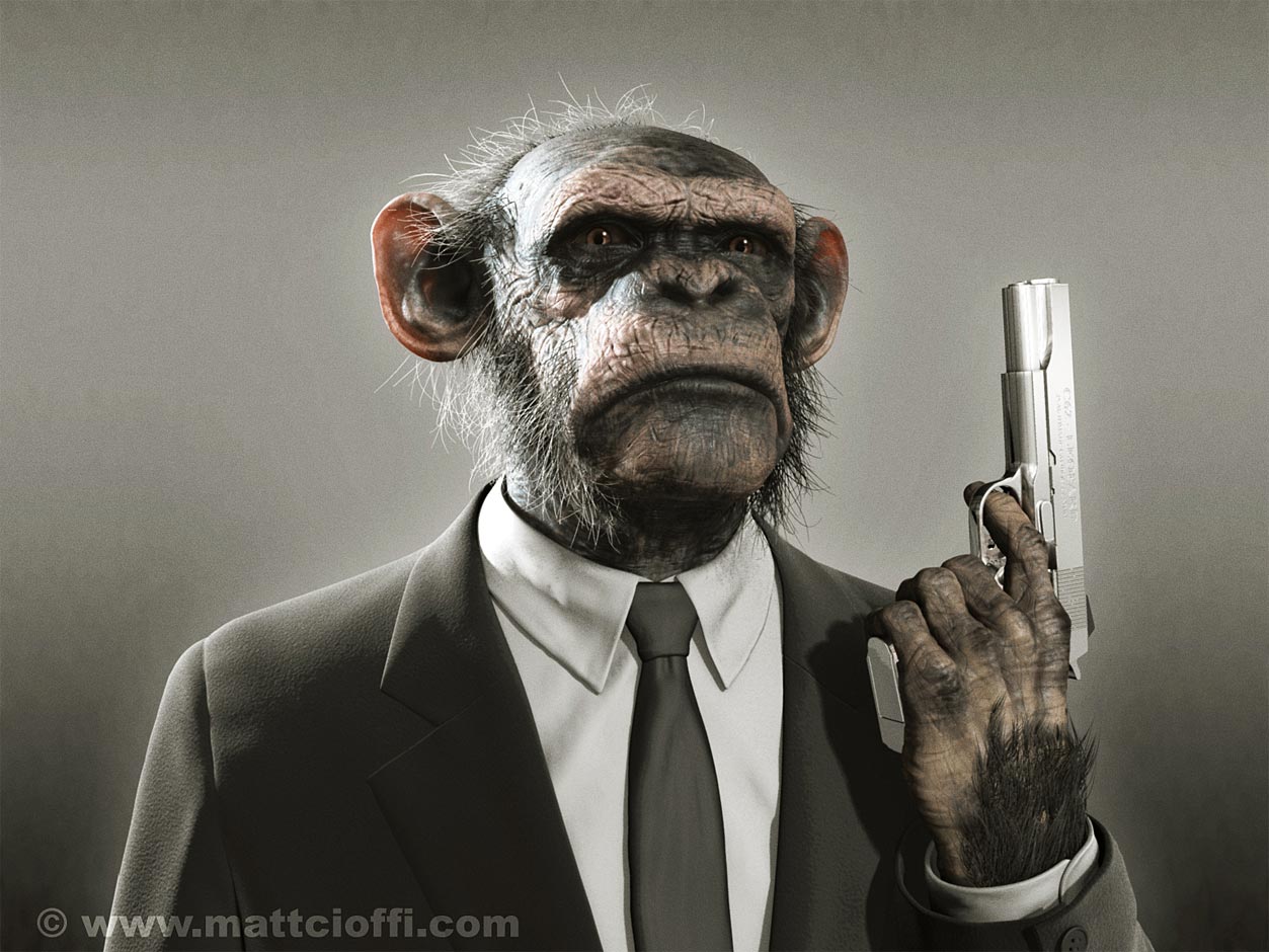 [chimp24ZBC.jpg]