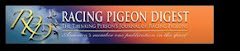 Racing Pigeon Digest