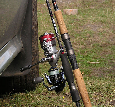 Daiwa Legalis on Diestro, Shimano Ultegra Advanced on Finezza