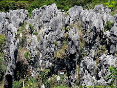 eleven reasons why i love sagada