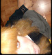 Mi foto