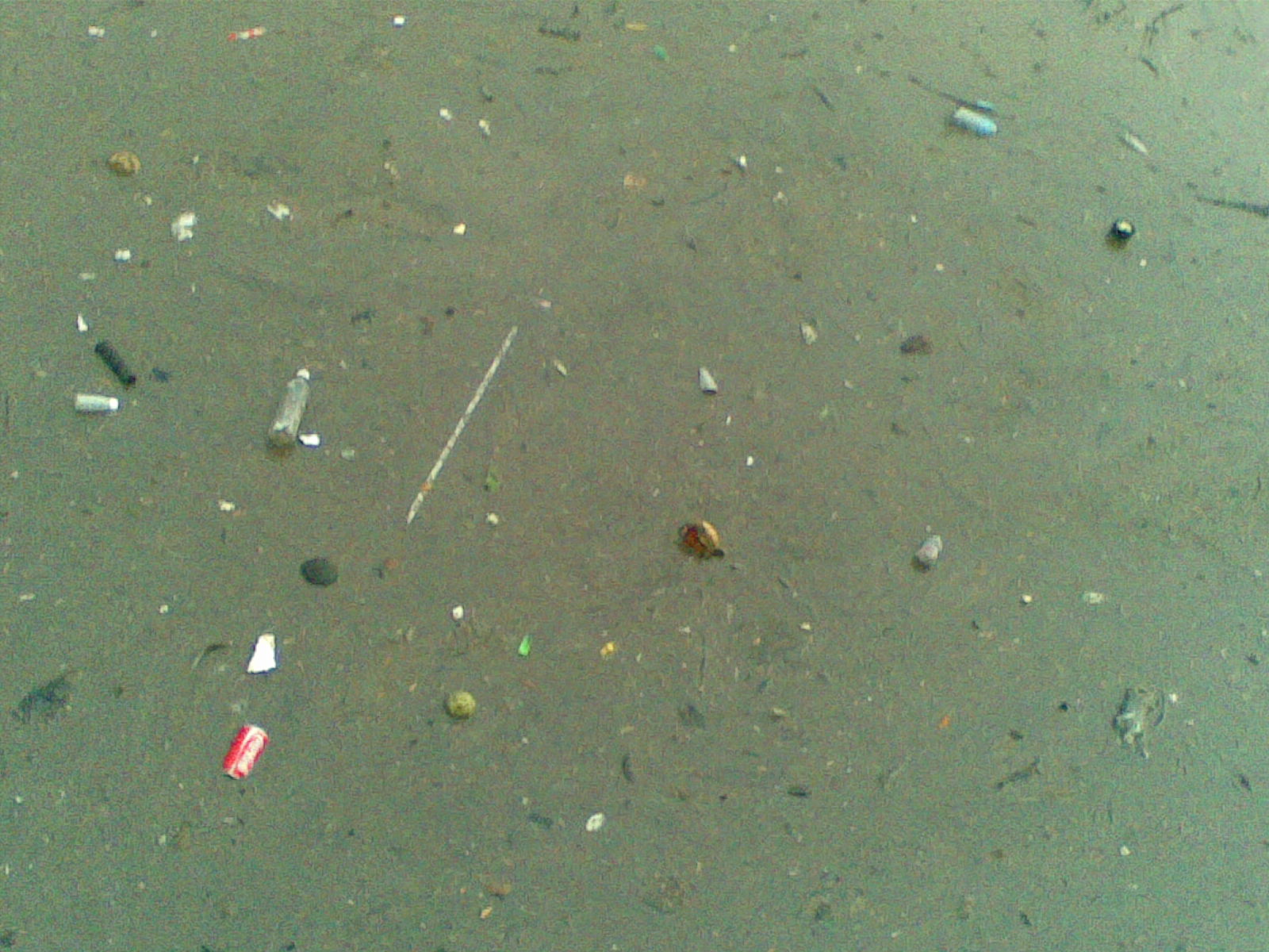 [Image1449.jpg]