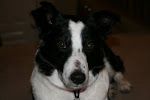 Sadie