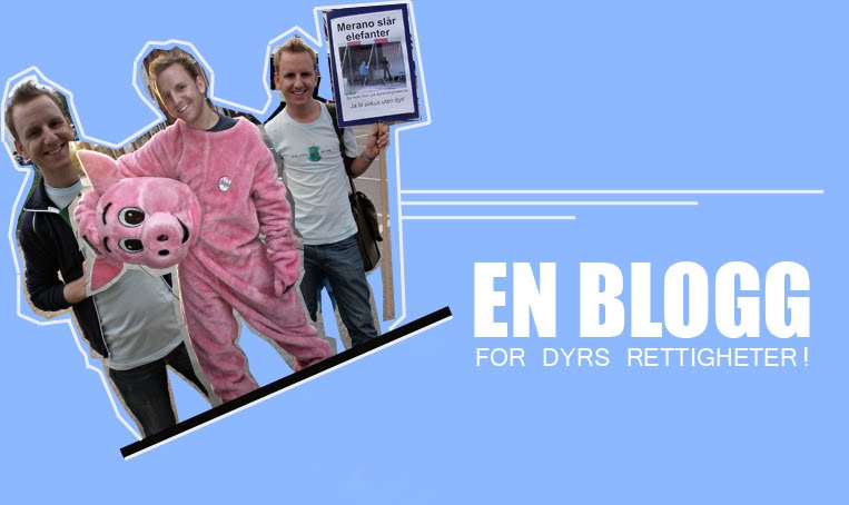 En blogg for dyrs rettigheter