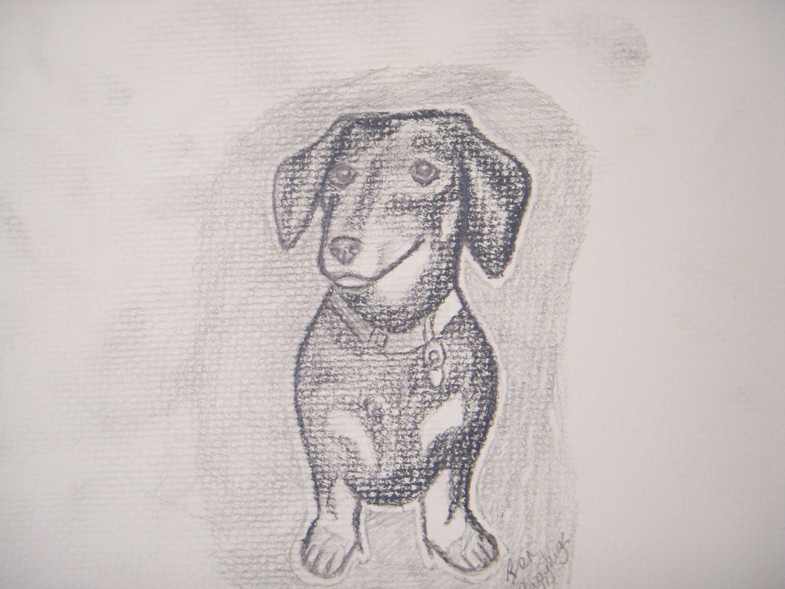 Pencil Drawings Dogs