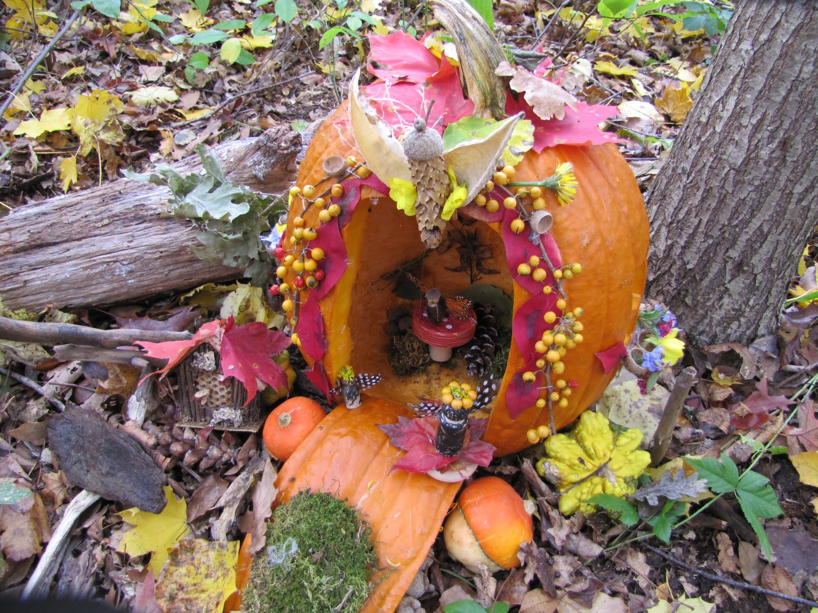 Ms. Mitchell's Kindergarten Creating Our Pumpkin Fairy House