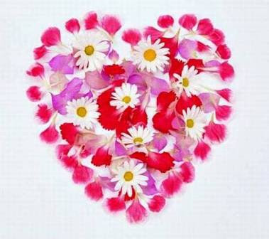 wallpaper of hearts. Heart Wallpapers,