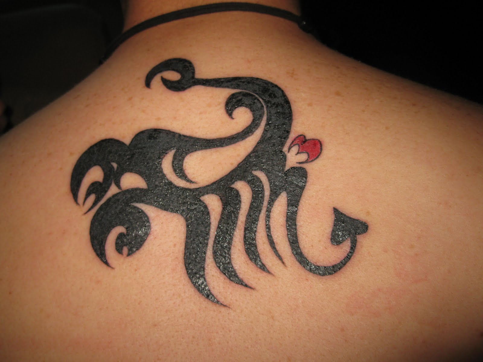 Scorpio and Cancer Zodiac Sign Tattoo Designs - wide 5