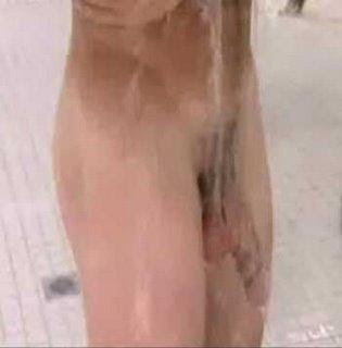 Buy Bird Of Paradise Plants Zatch Bell Mamodo Fury Zolfis And Milordoz Characters