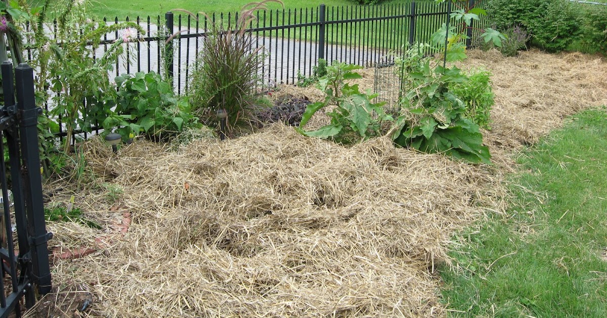 Organic Gardening in St. Louis Mulching with hay