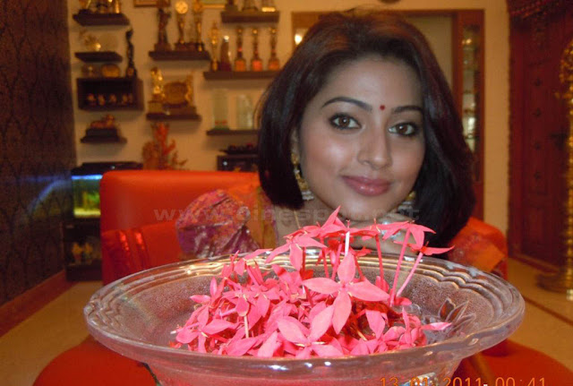 tamil actress sneha new hot photos
