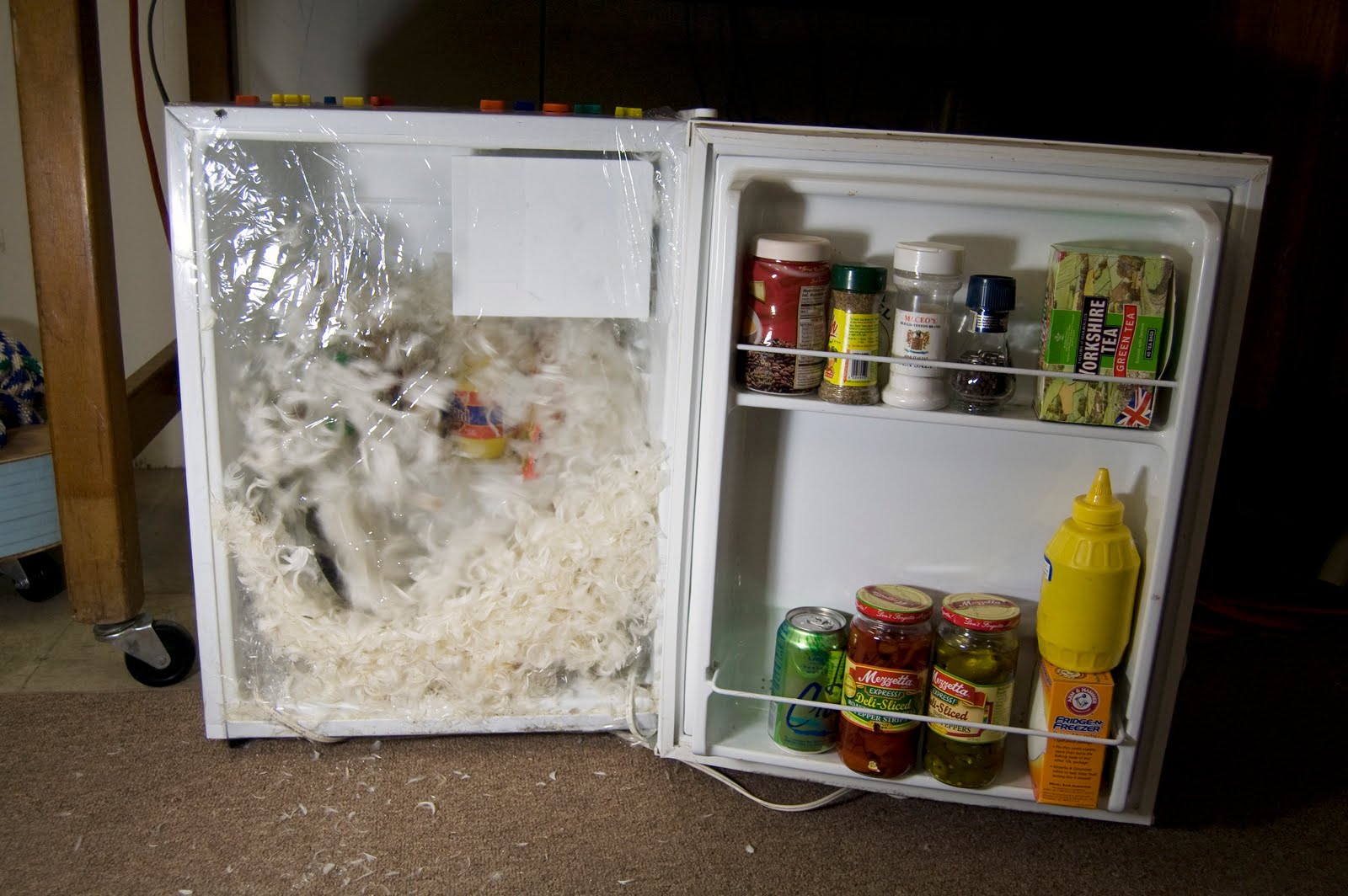 The Kenmore Emily Sloan Snow Storm (a.k.a. SelfCleaning MiniFridge)