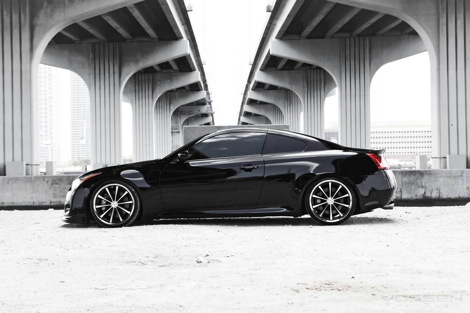 g37 vossen