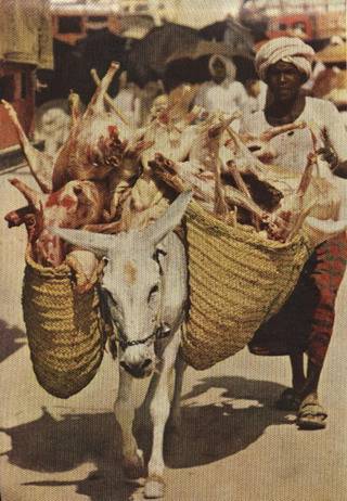 [Hajj+in+1953-14.jpg]